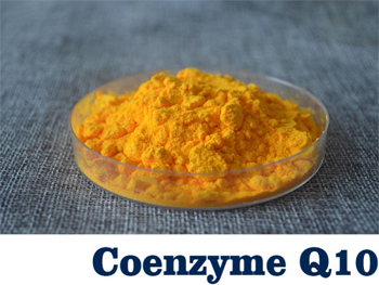What Foods Are High In Pure Coq10 Powder